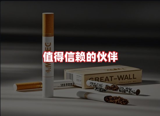 专业团队
